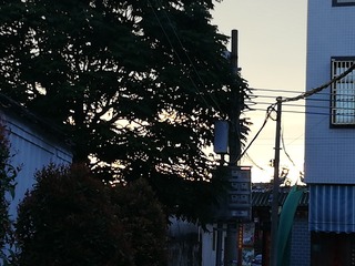 1275248
