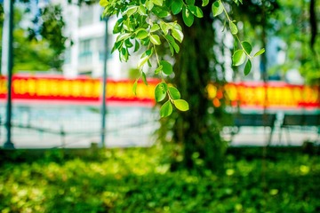 “_MG_8972”为智能对象-1
