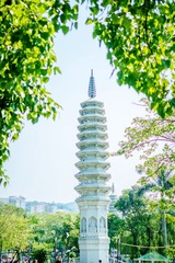 “_MG_8982”为智能对象-1