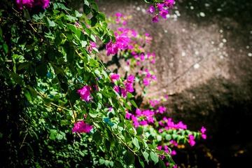 “_MG_8994”为智能对象-1