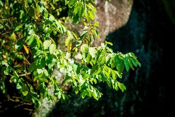 “_MG_9008”为智能对象-1