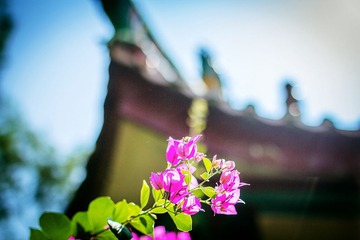 “_MG_9013”为智能对象-1