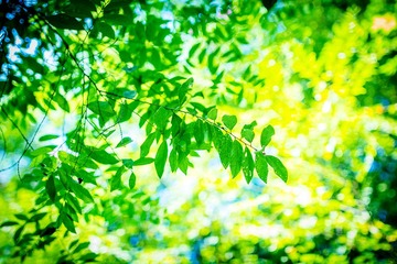 “_MG_9025”为智能对象-1