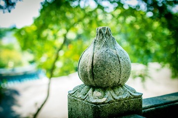 “_MG_9029”为智能对象-1