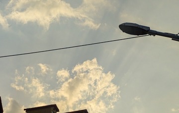 2934019