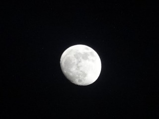 14019