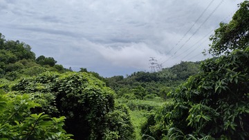1000015035