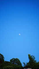F0D7192B-30EB-47B3-AD7D-3BEA6FE10F0B/L0/001