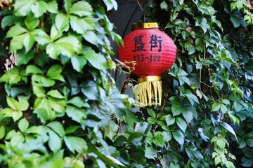 B6112447-B322-4E2E-A7AB-C28569011ABA/L0/001