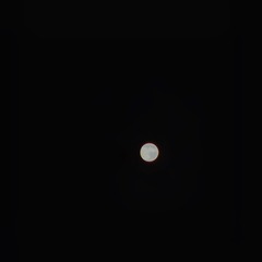 D22B5B73-C92A-4333-857D-54BE80144313/L0/001