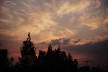 1B9CFF5B-2347-47FC-8E6C-FD50A7DBEF3D/L0/001