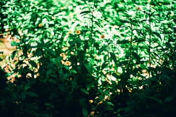 F978C1CE-2EC7-4F30-909D-646871E95E8A/L0/001