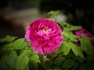 A75420EC-A046-4FE5-ACA7-EFCE007E141F/L0/001