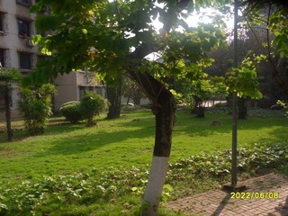 62B97350-34F0-4E70-8F3C-0790F0AA0A82/L0/001