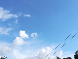 1132717