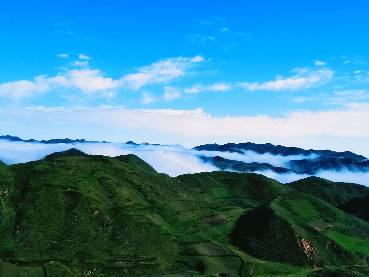 清早在山巅看到翻腾的云海
