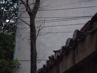 D5F0D6E4-04C5-4422-B7D5-229C1BA8173A/L0/001