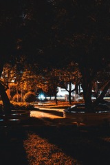 19943