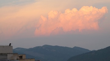 2EA50343-91A9-4608-82C9-C04AA32C313B/L0/001