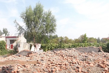 01.JPG