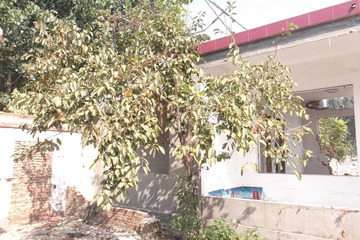 11.JPG