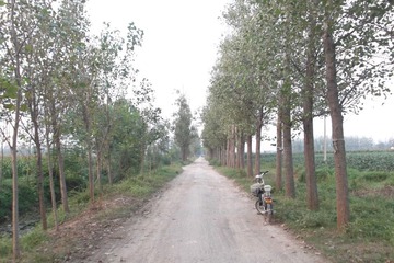 DSCF2892.JPG