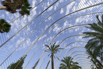 DSCF2876.JPG