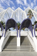 DSCF2879.JPG