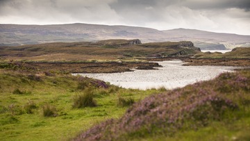 DSCF3231.JPG