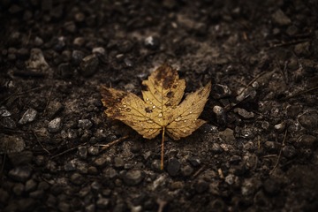 DSCF3269.JPG