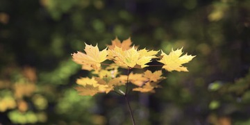 DSCF3289.JPG