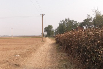 DSCF3292.JPG