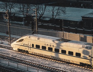 19868