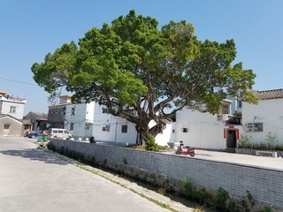 1715454