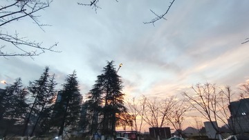 1000069648
