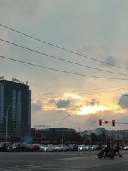1000072868