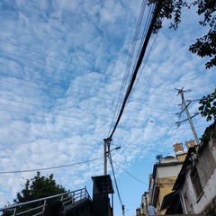 1000045470