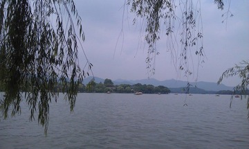 IMAG0434.jpg