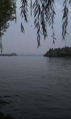 IMAG0436.jpg