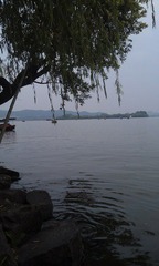 IMAG0438.jpg