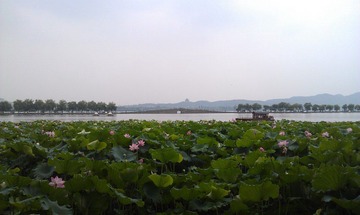 IMAG0439.jpg