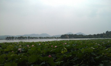 IMAG0440.jpg