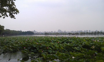 IMAG0441.jpg