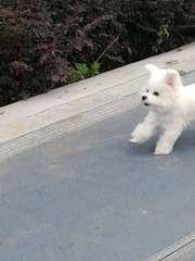 40188