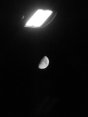 85188282-E372-4EA0-8A36-FE5FFC364D99/L0/001
