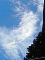 6DD46386-99AA-4B99-9D38-9ED4A4E01F87/L0/001