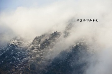 DSC_2791.jpg