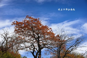 “DSC_0373”为智能对象-1.jpg
