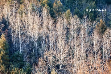 DSC_2769.jpg