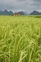 _MG_7742.jpg